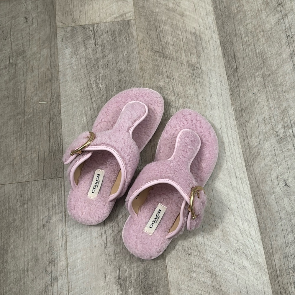 Coach Hollie Flip Flop
